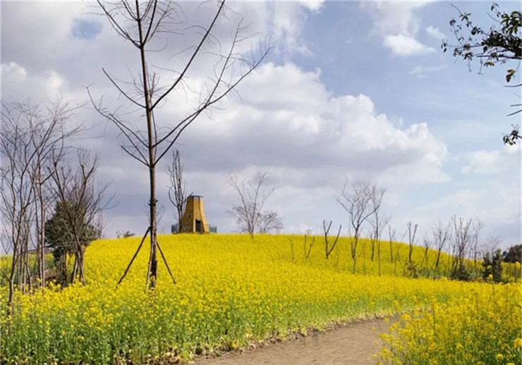 龙古山.jpg